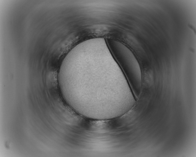 X0000103140184200809121802