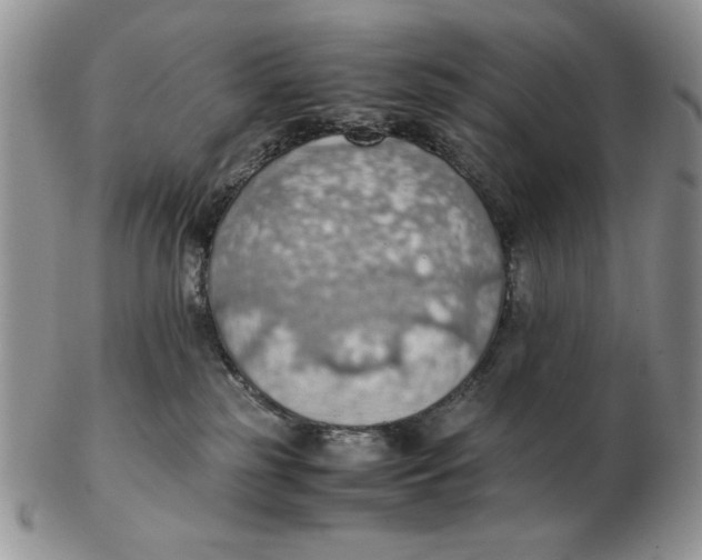 X0000103140185200809121802