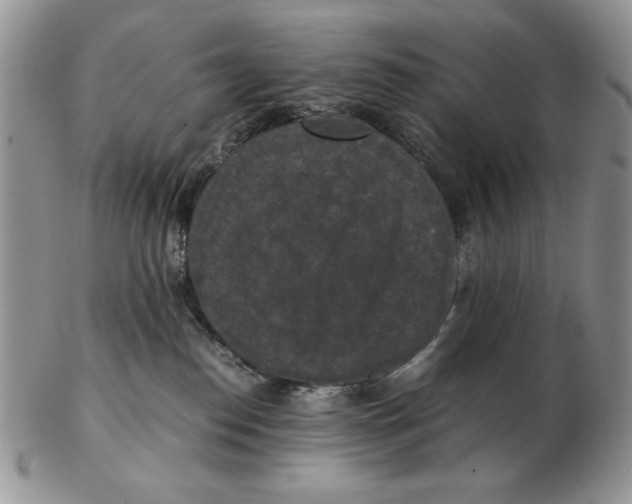 X0000103140186200809121802