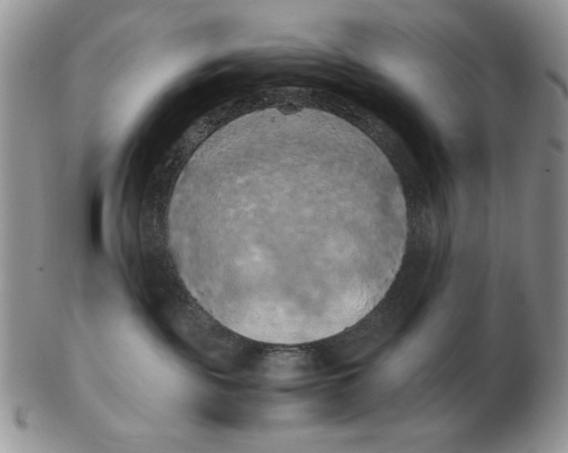 X0000103140189200809121802