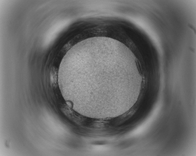 X0000103140190200809121802