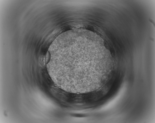 X0000103140191200809121802