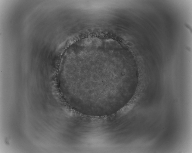 X0000103140192200809121802