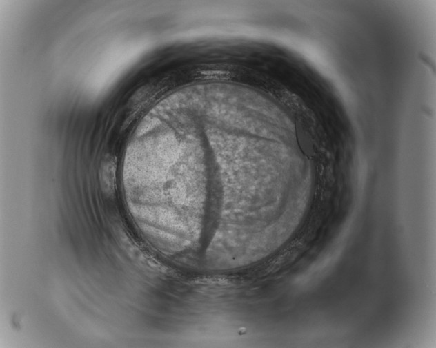 X0000103140194200809121801