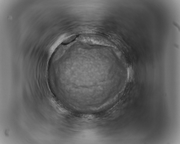 X0000103140195200809121801