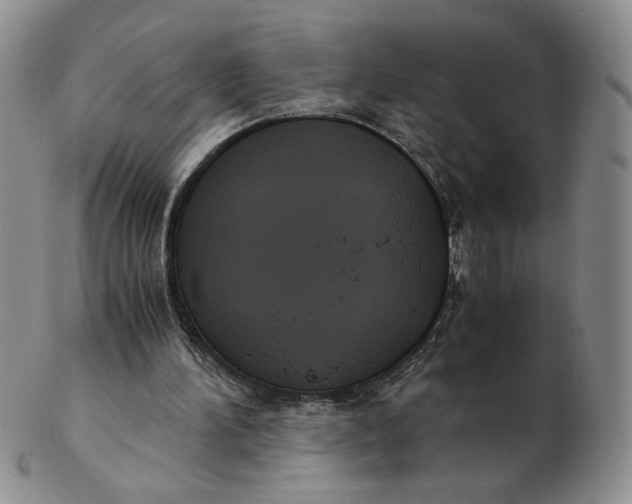 X0000103140196200809121801