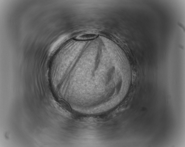 X0000103140197200809121801