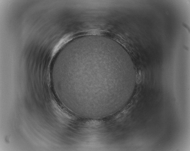 X0000103140198200809121801