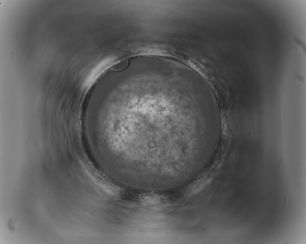 X0000103140199200809121801