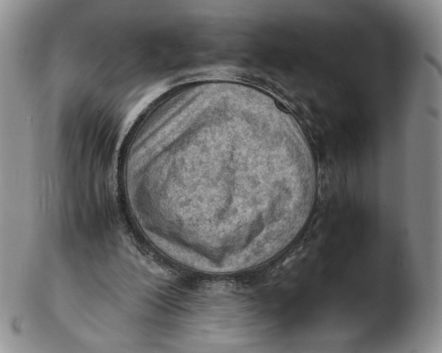 X0000103140200200809121801