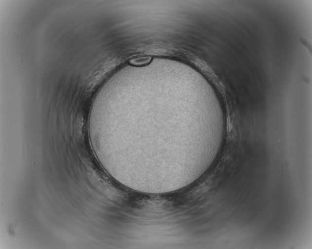 X0000103140201200809121801