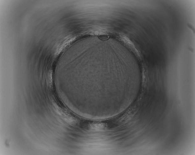 X0000103140202200809121801