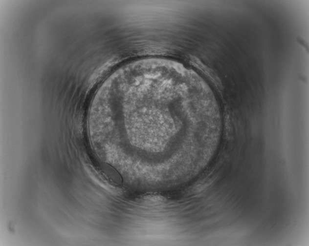 X0000103140203200809121801