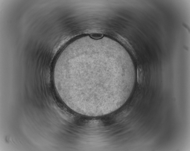 X0000103140204200809121801