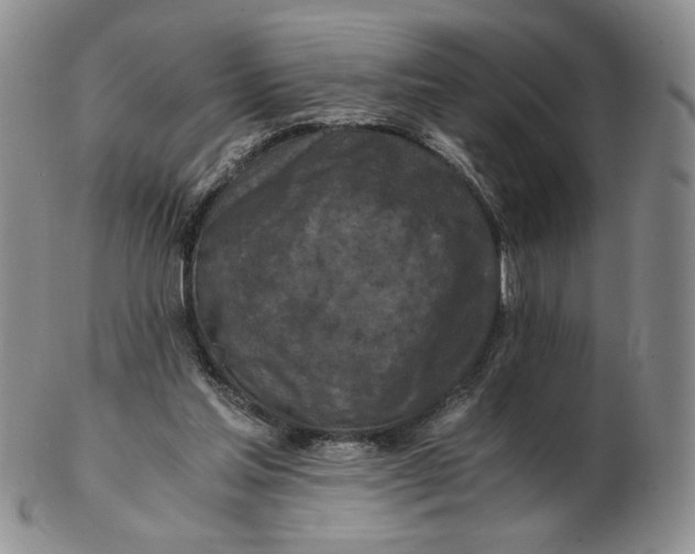 X0000103140205200809121801