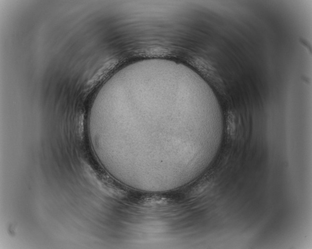 X0000103140206200809121801