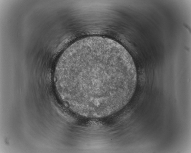 X0000103140207200809121801