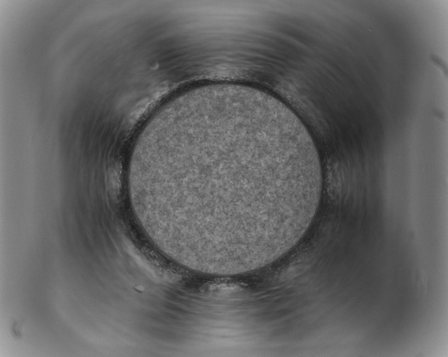 X0000103140208200809121801