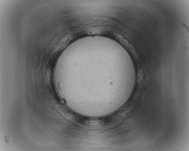 X0000103140209200809121801