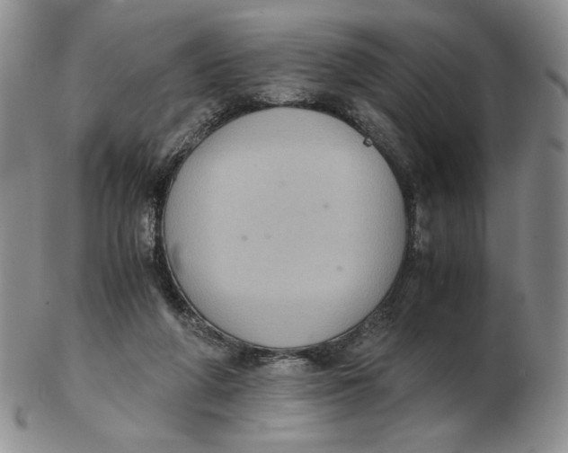 X0000103140210200809121801