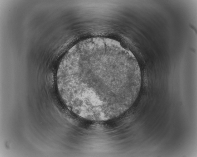 X0000103140211200809121801