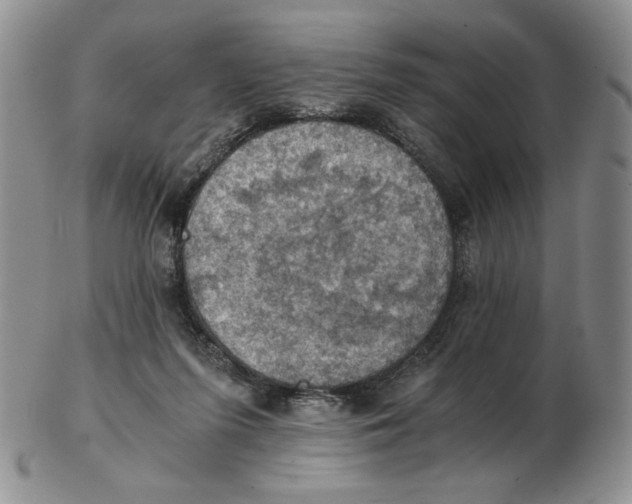 X0000103140215200809121801