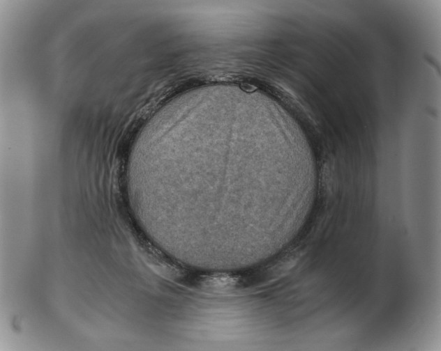 X0000103140217200809121801