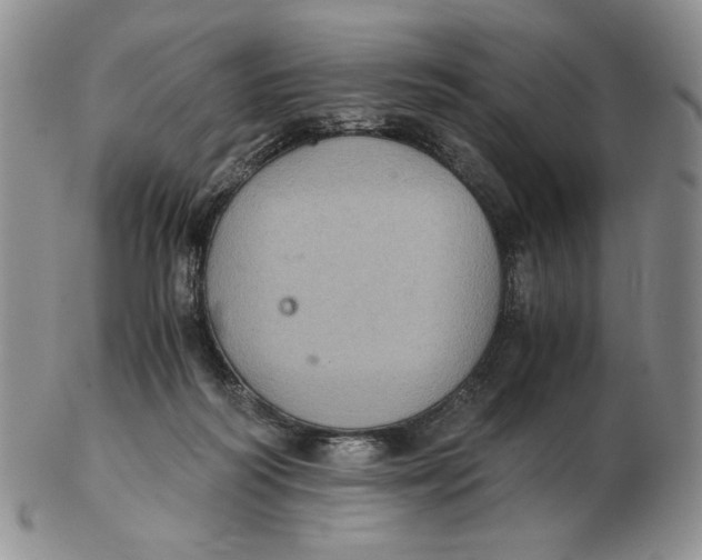 X0000103140218200809121801