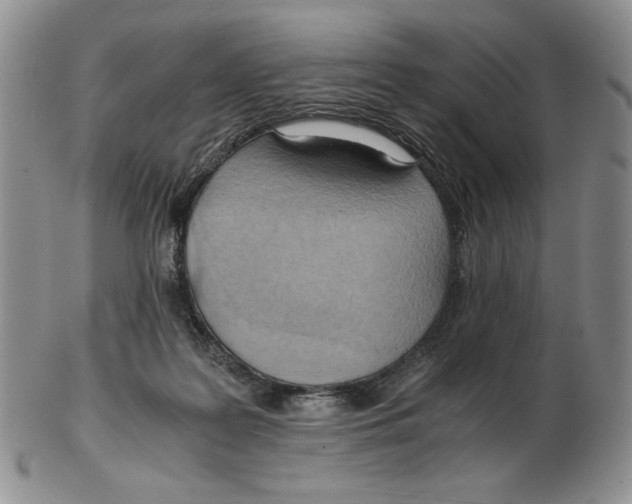 X0000103140219200809121801