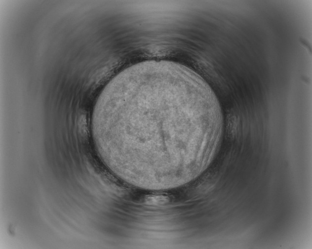 X0000103140220200809121801