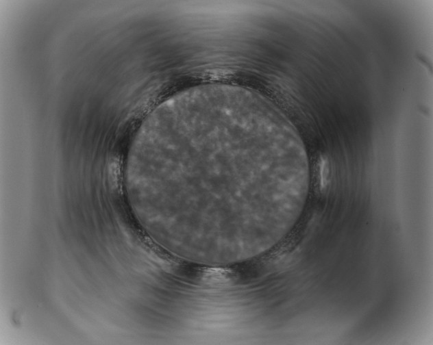 X0000103140222200809121801