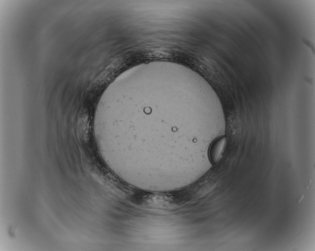 X0000103140223200809121801