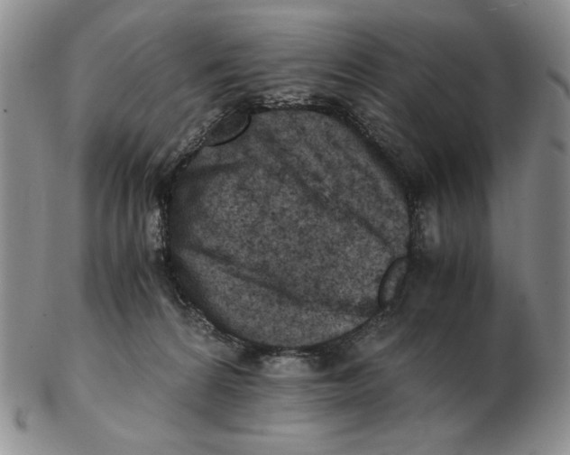 X0000103140224200809121801