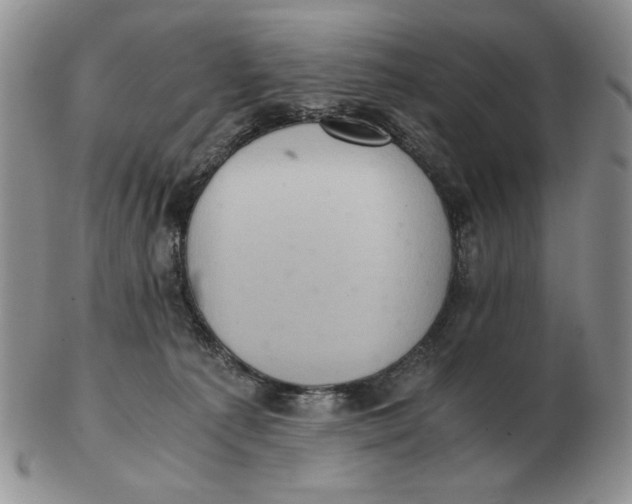 X0000103140225200809121801