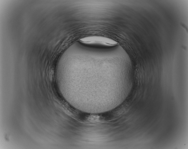 X0000103140227200809121801