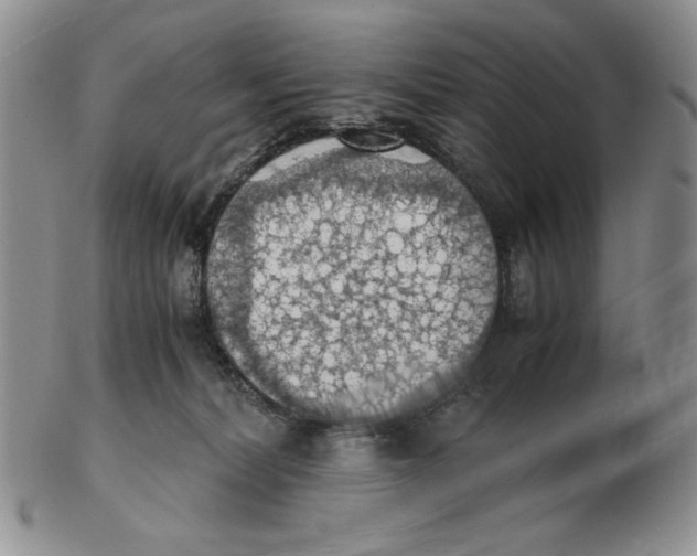 X0000103140228200809121801