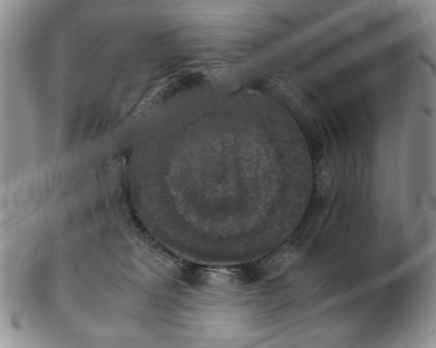 X0000103140229200809121801