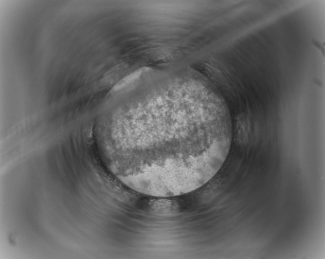 X0000103140230200809121801