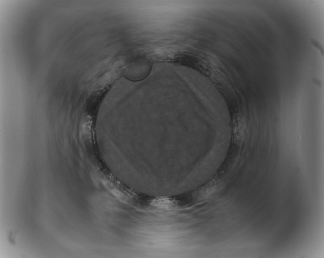 X0000103140231200809121801