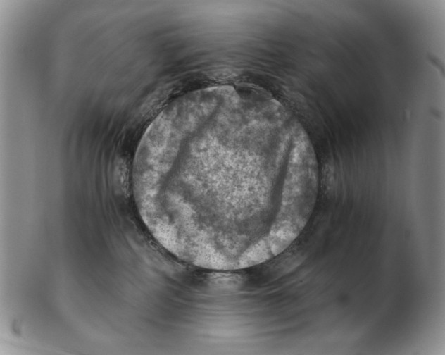 X0000103140234200809121801