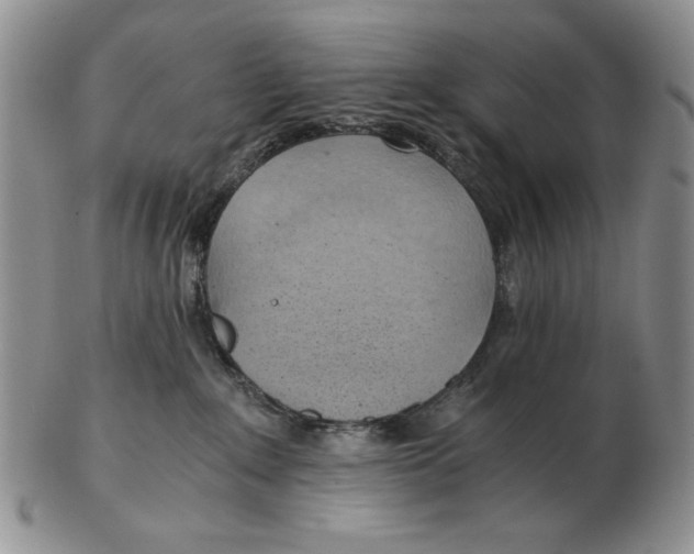 X0000103140235200809121800