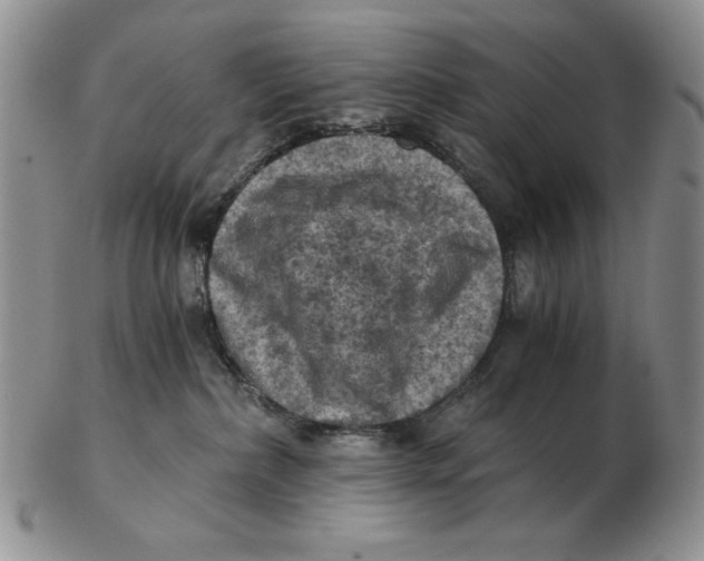 X0000103140236200809121800