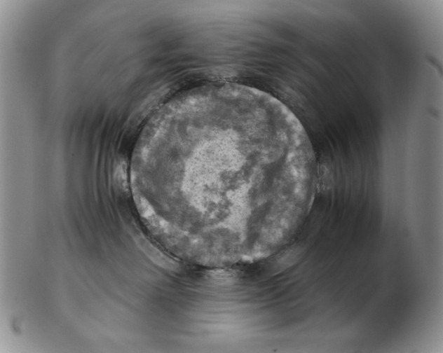 X0000103140238200809121800