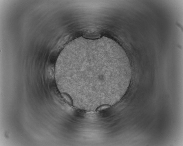 X0000103140240200809121800