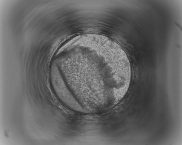 X0000103140241200809121800