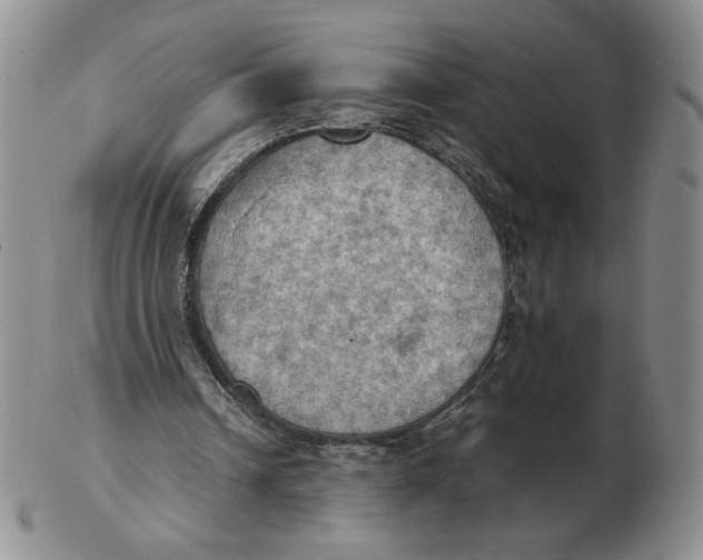 X0000103140242200809121800