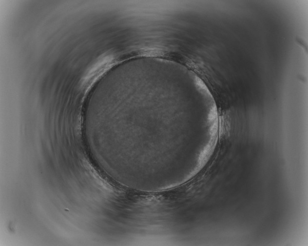 X0000103140243200809121800