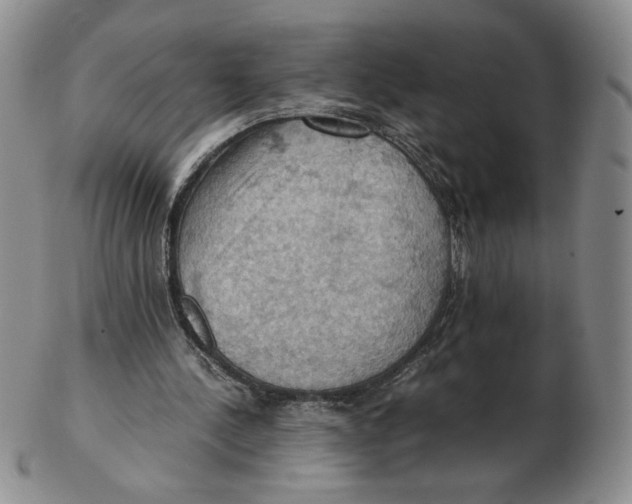 X0000103140244200809121800