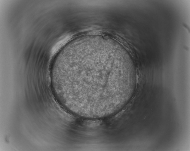 X0000103140245200809121800