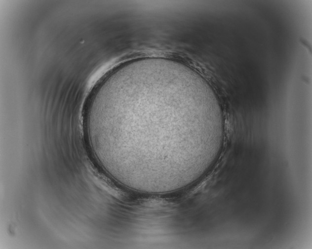 X0000103140246200809121800